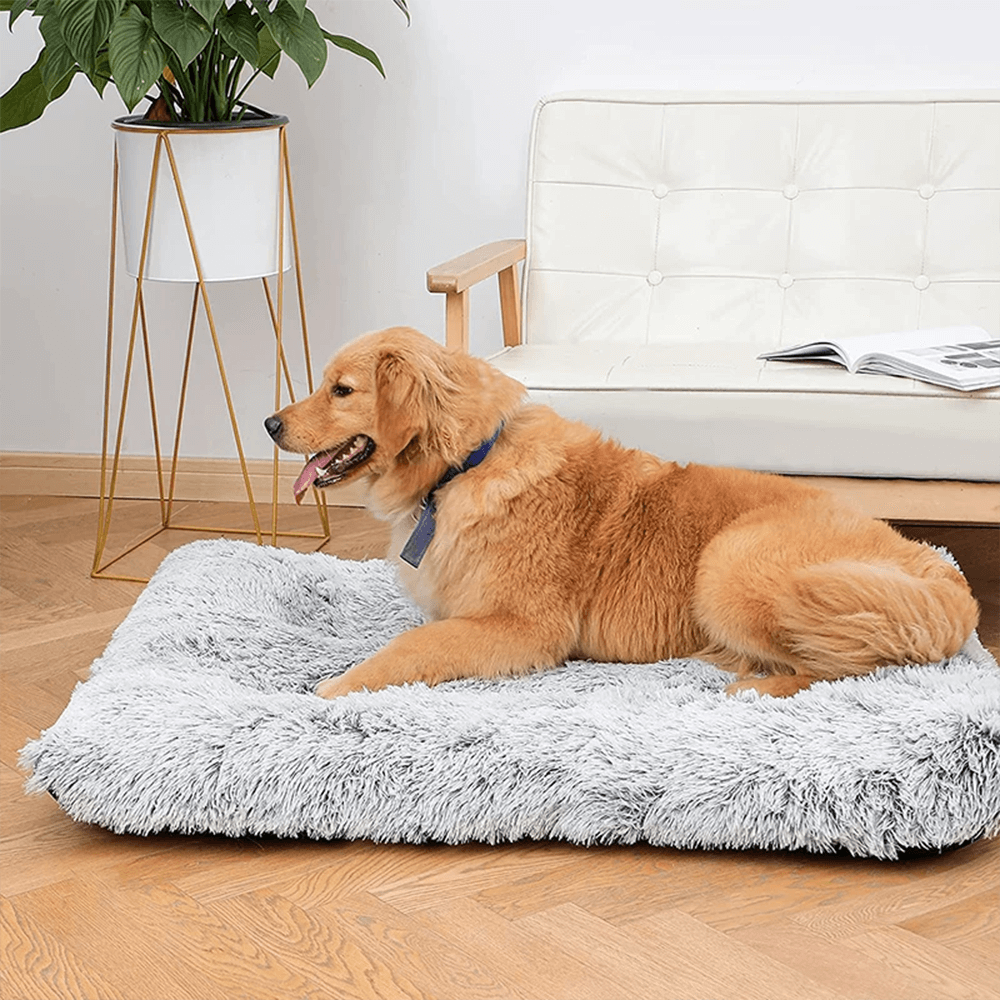 gid://shopify/MediaImage/33701370953968